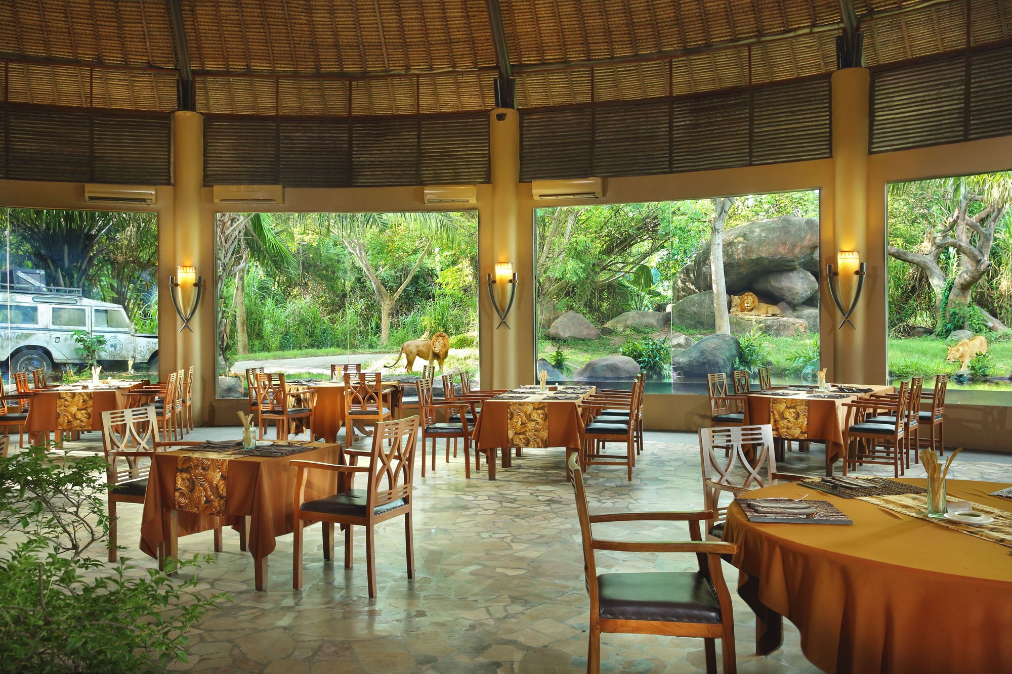 bali safari park restaurant