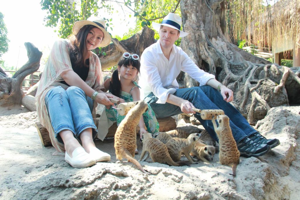 The Official Website of Taman Safari Bali - Escape Into Paradise