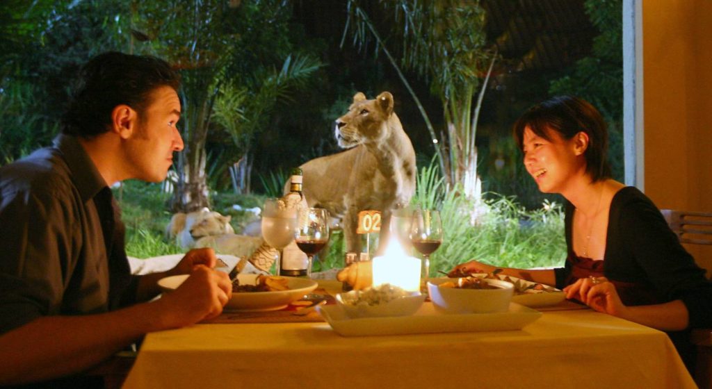 bali safari dinner