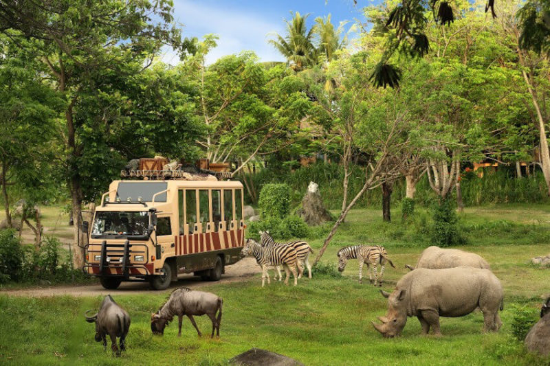 bali zoo vs bali safari park