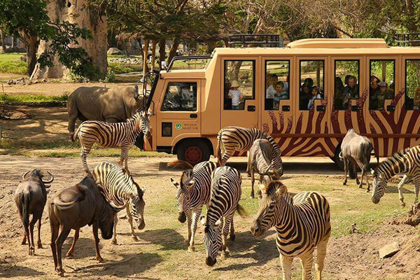 safari park instagram