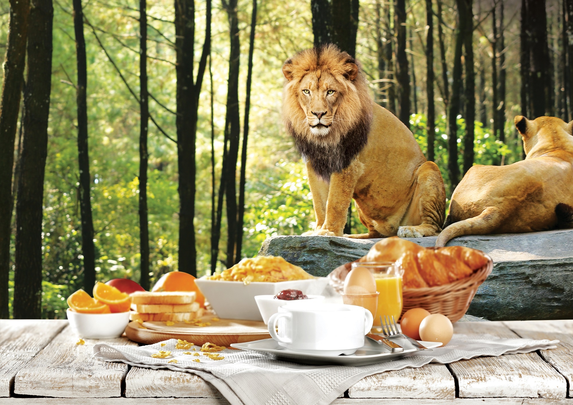 safari dining